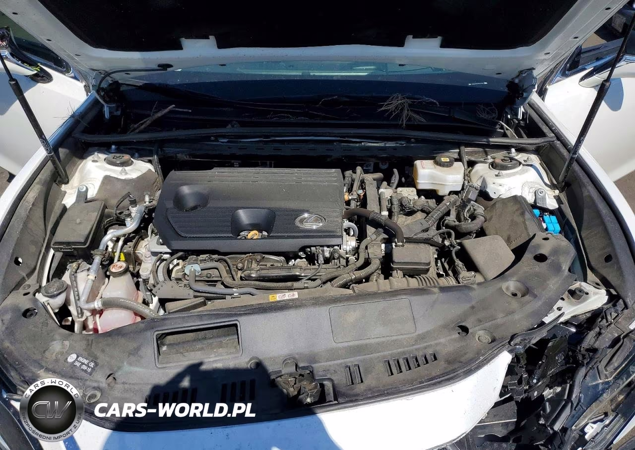 2024 Lexus Es 300H Base VIN:58ADA1C12RU037845 - 11