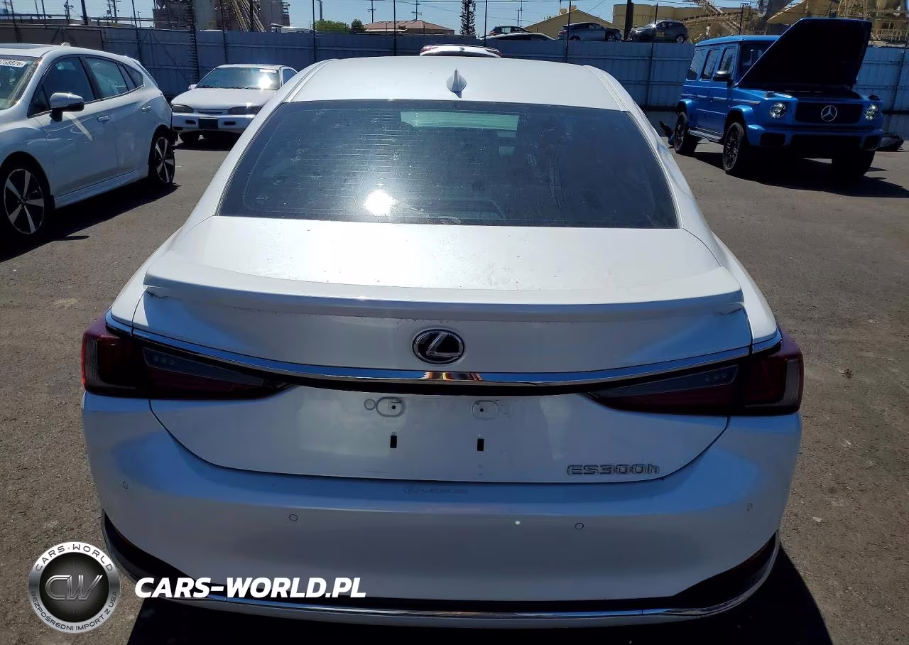 2024 Lexus Es 300H Base VIN:58ADA1C12RU037845 - 6