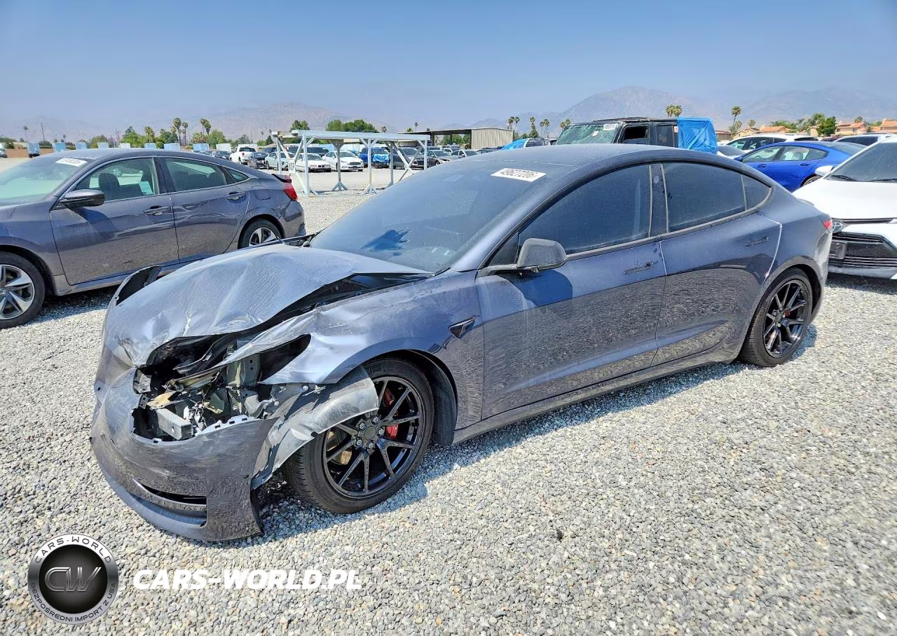 2019 Tesla Model 3