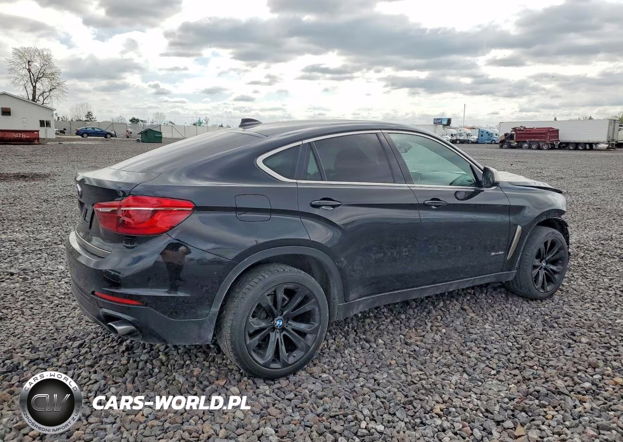 2017 BMW X6 Sdrive35I VIN:5UXKU0C57H0F99741 - 3