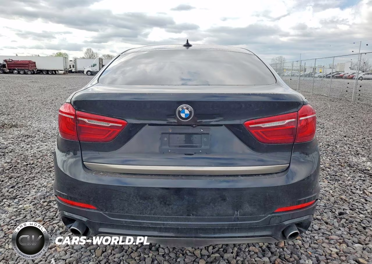 2017 BMW X6 Sdrive35I VIN:5UXKU0C57H0F99741 - 6