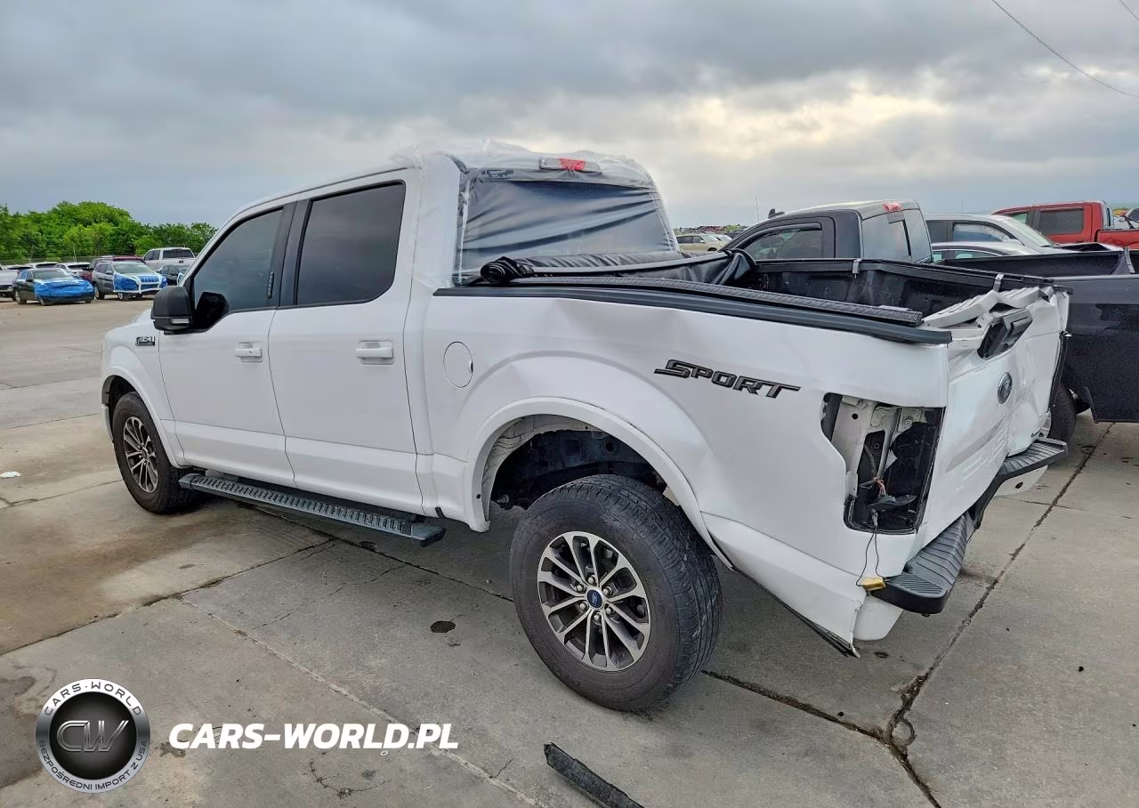 2019 Ford F150 Xlt VIN:1FTEW1CP2KKD13044 - 2