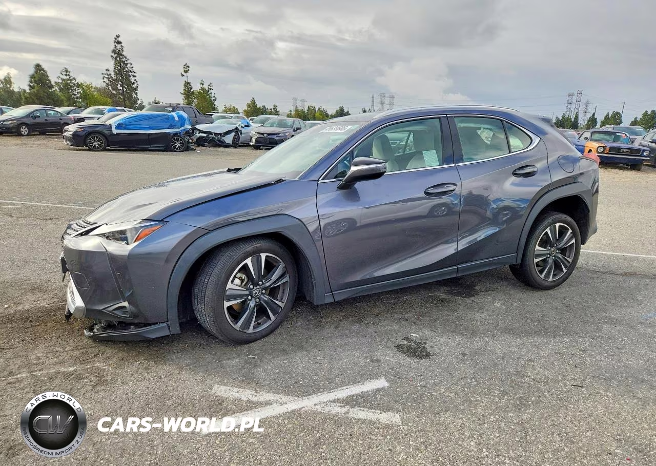 2025 Lexus Ux 300H Base