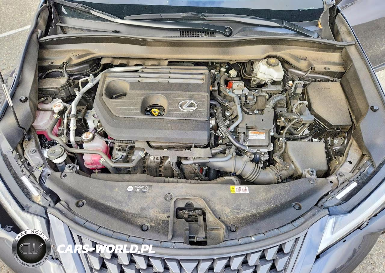 2025 Lexus Ux 300H Base VIN:JTHYBJAH8S2009607 - 12