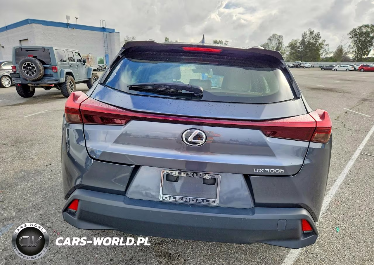 2025 Lexus Ux 300H Base VIN:JTHYBJAH8S2009607 - 6
