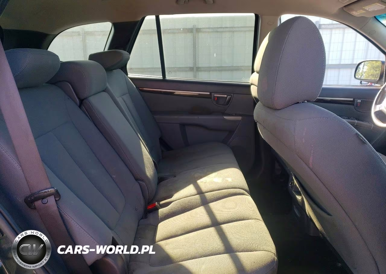 2010 Hyundai Santa Fe Gls VIN:5NMSG3AB9AH334437 - 11