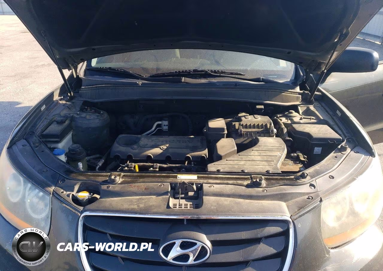 2010 Hyundai Santa Fe Gls VIN:5NMSG3AB9AH334437 - 12