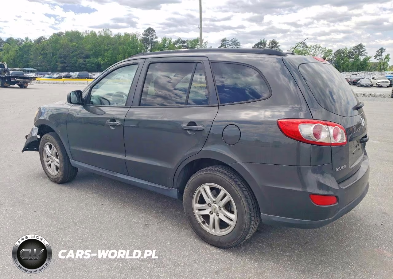 2010 Hyundai Santa Fe Gls VIN:5NMSG3AB9AH334437 - 2