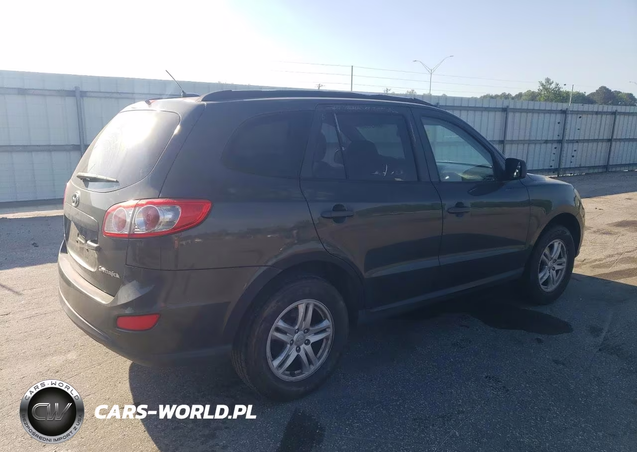 2010 Hyundai Santa Fe Gls VIN:5NMSG3AB9AH334437 - 3