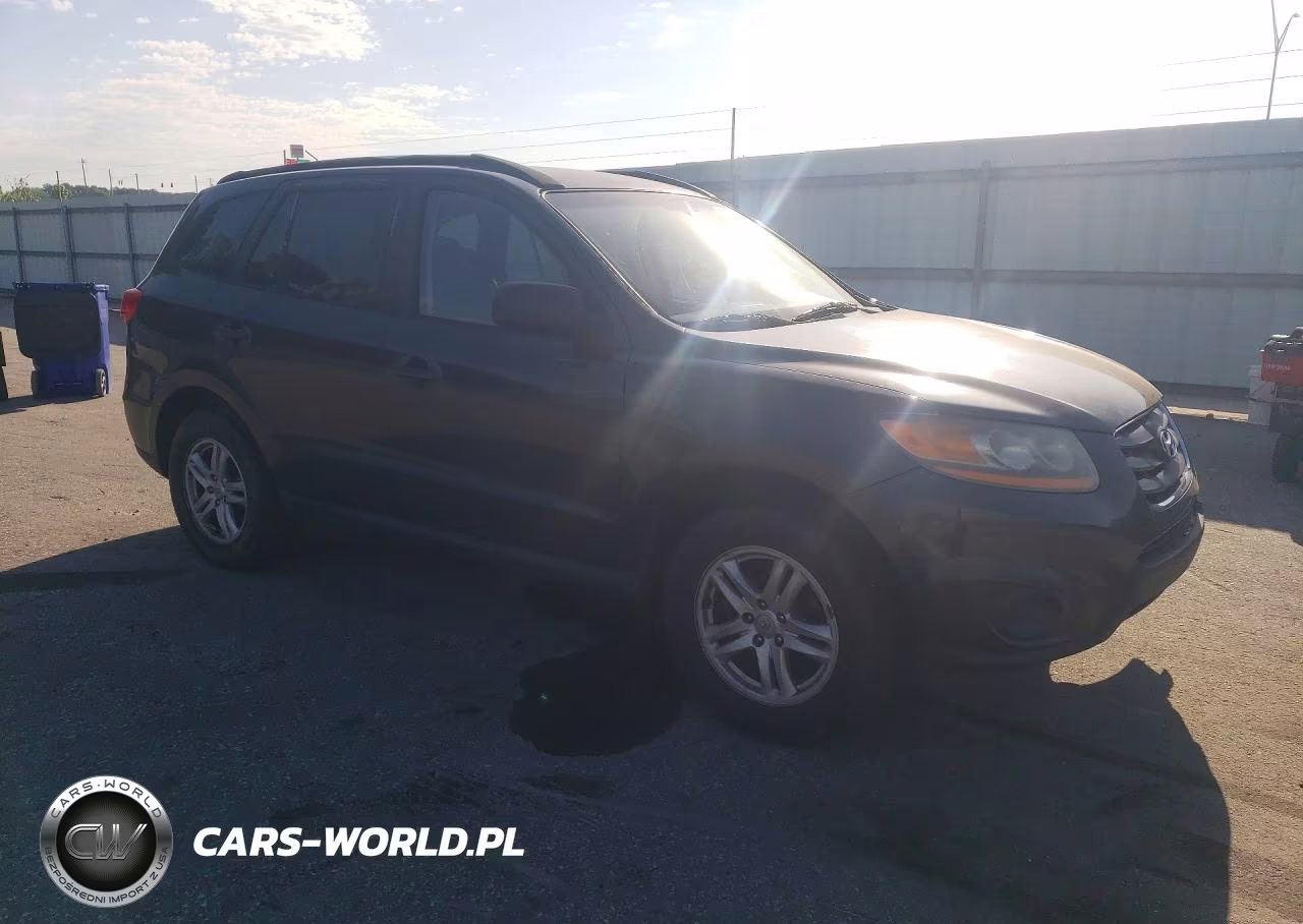 2010 Hyundai Santa Fe Gls VIN:5NMSG3AB9AH334437 - 4