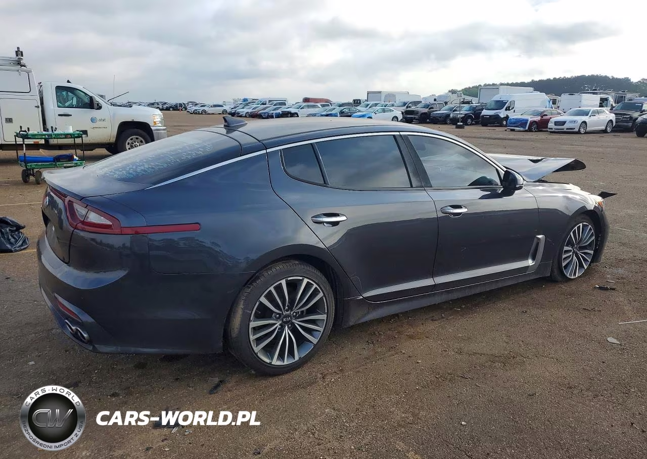 2019 Kia Stinger Base VIN:KNAE15LA2K6052909 - 3