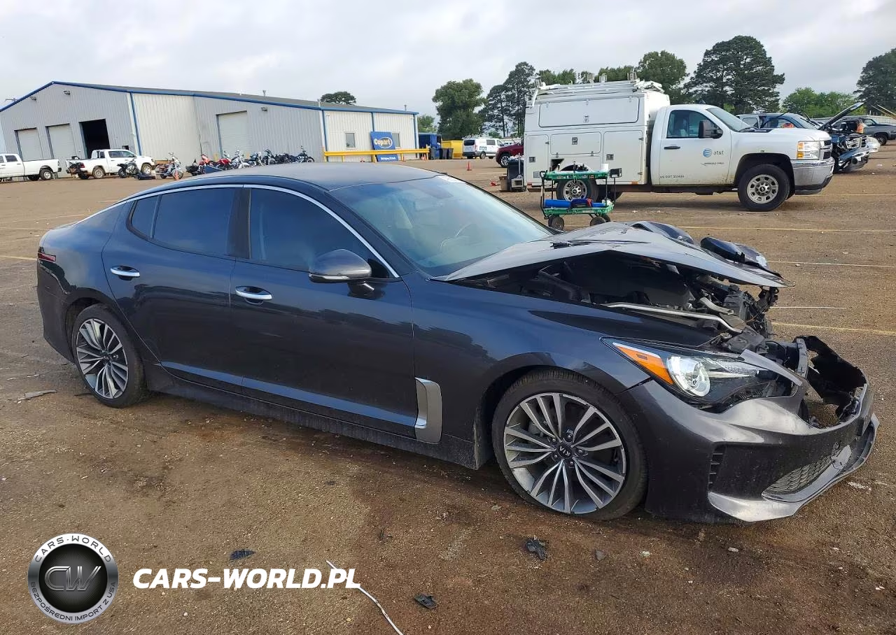 2019 Kia Stinger Base VIN:KNAE15LA2K6052909 - 4