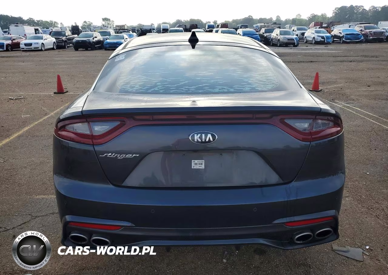 2019 Kia Stinger Base VIN:KNAE15LA2K6052909 - 6