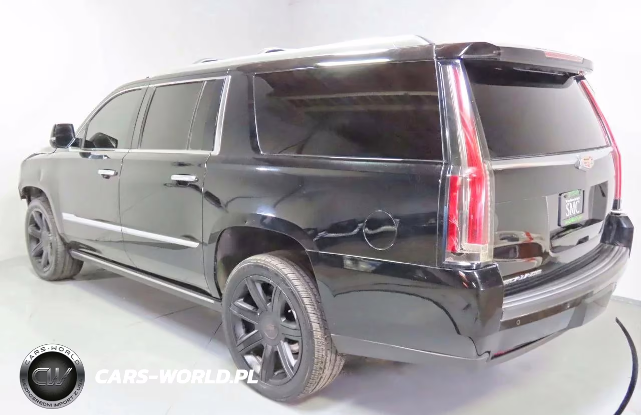 2016 Cadillac Escalade Esv Platinum VIN:1GYS3KKJ9GR412256 - 4
