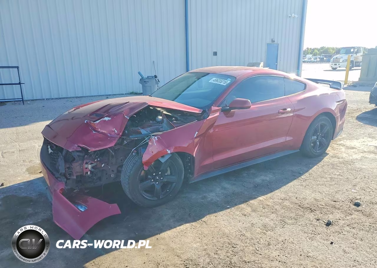 2019 Ford Mustang