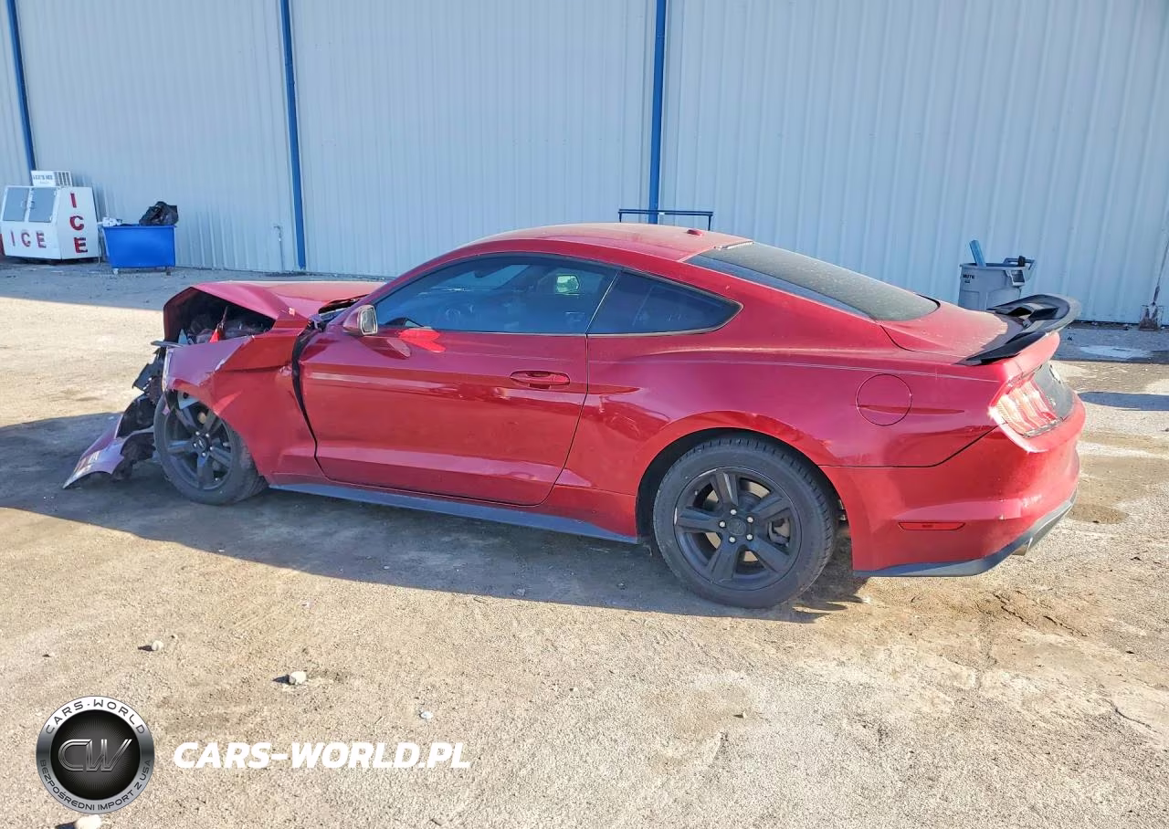 2019 Ford Mustang VIN:1FA6P8THXK5174143 - 2