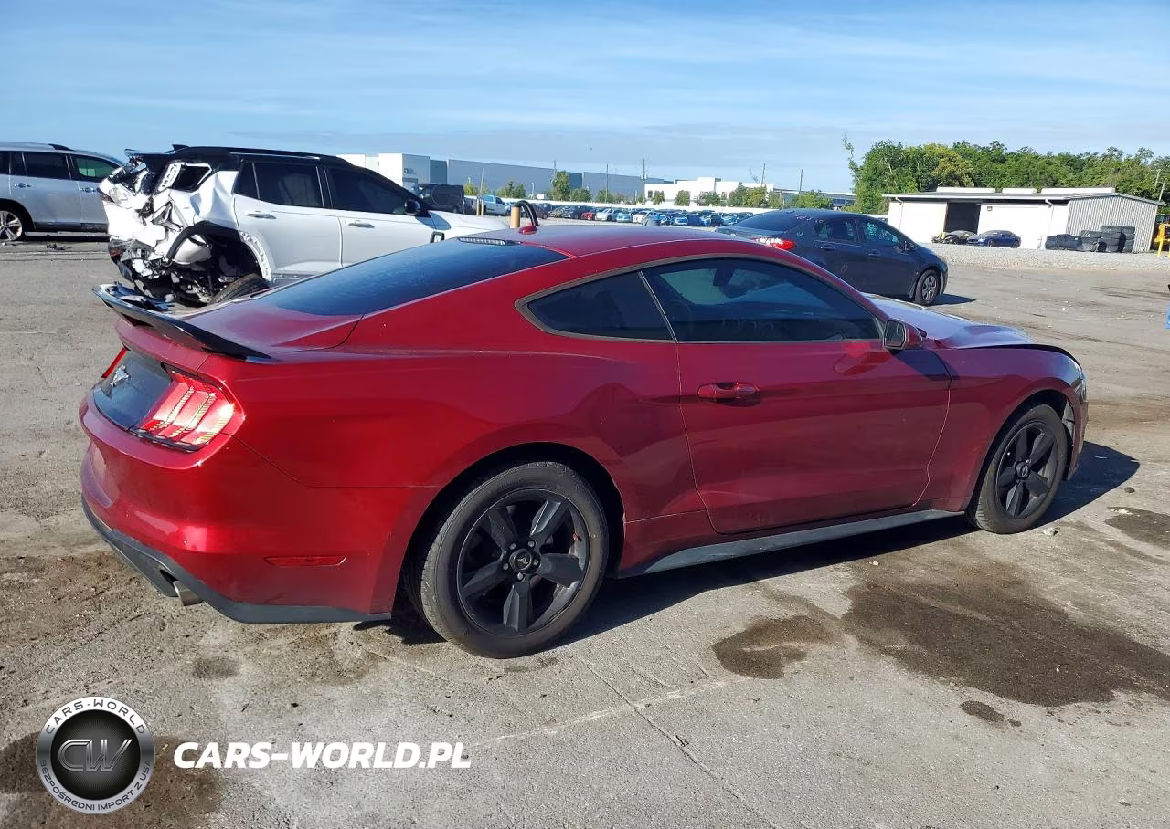 2019 Ford Mustang VIN:1FA6P8THXK5174143 - 3