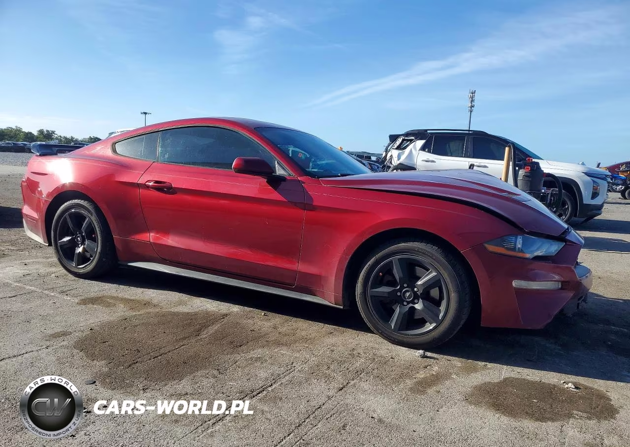 2019 Ford Mustang VIN:1FA6P8THXK5174143 - 4