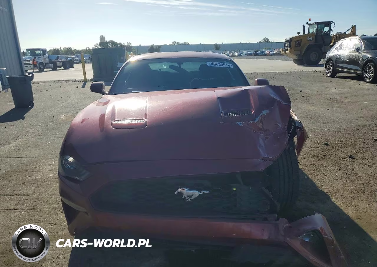 2019 Ford Mustang VIN:1FA6P8THXK5174143 - 5