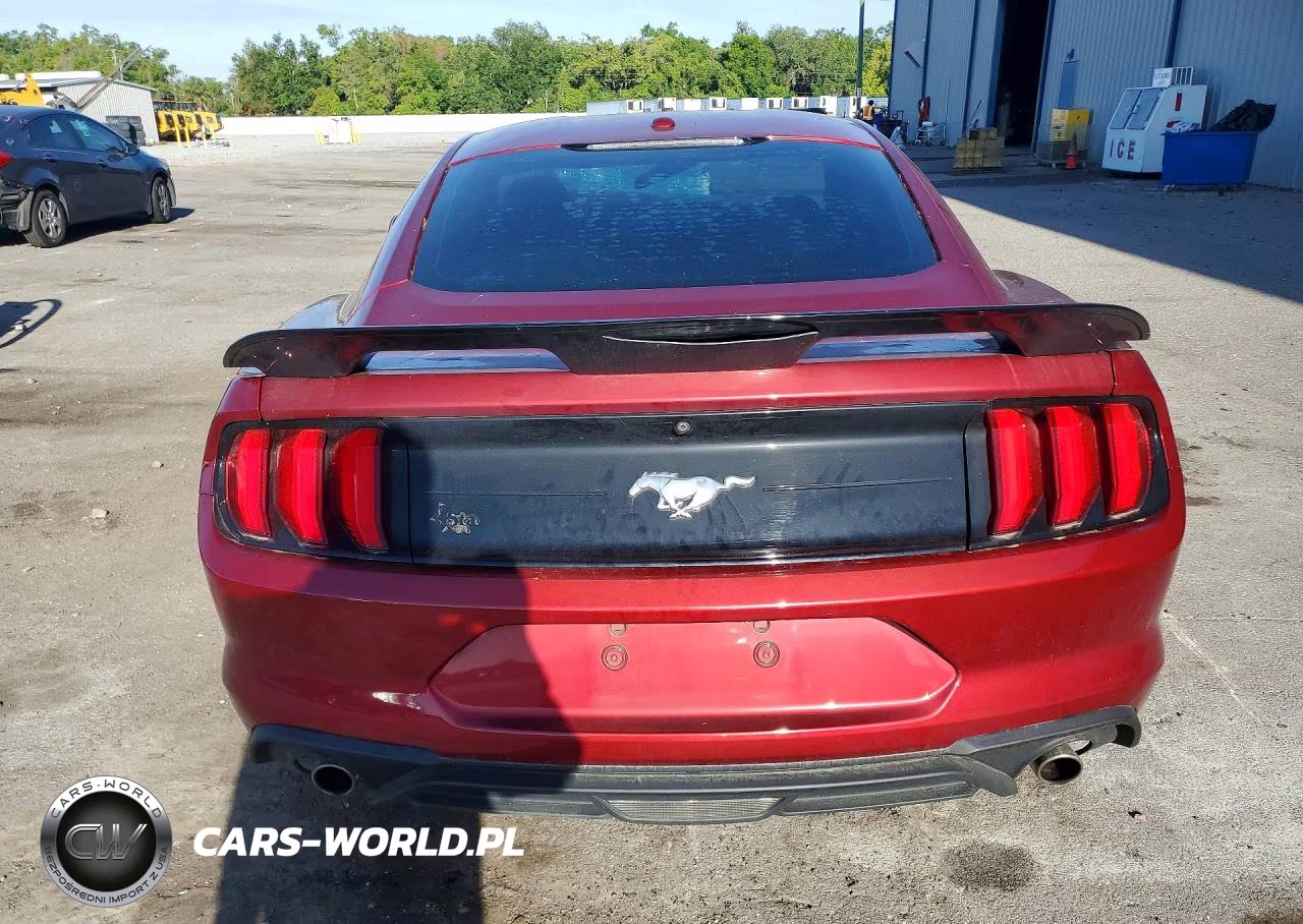 2019 Ford Mustang VIN:1FA6P8THXK5174143 - 6