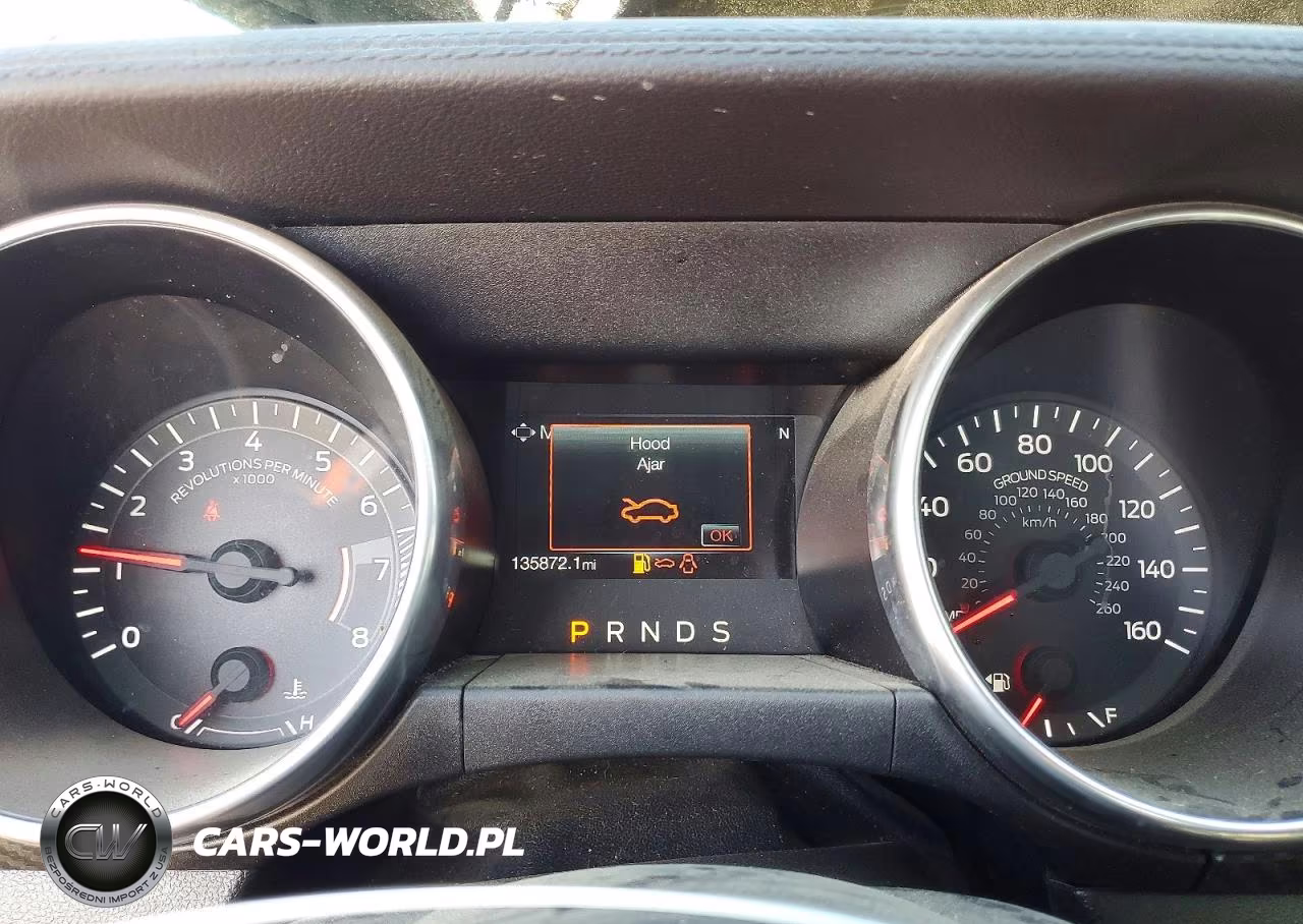 2019 Ford Mustang VIN:1FA6P8THXK5174143 - 9