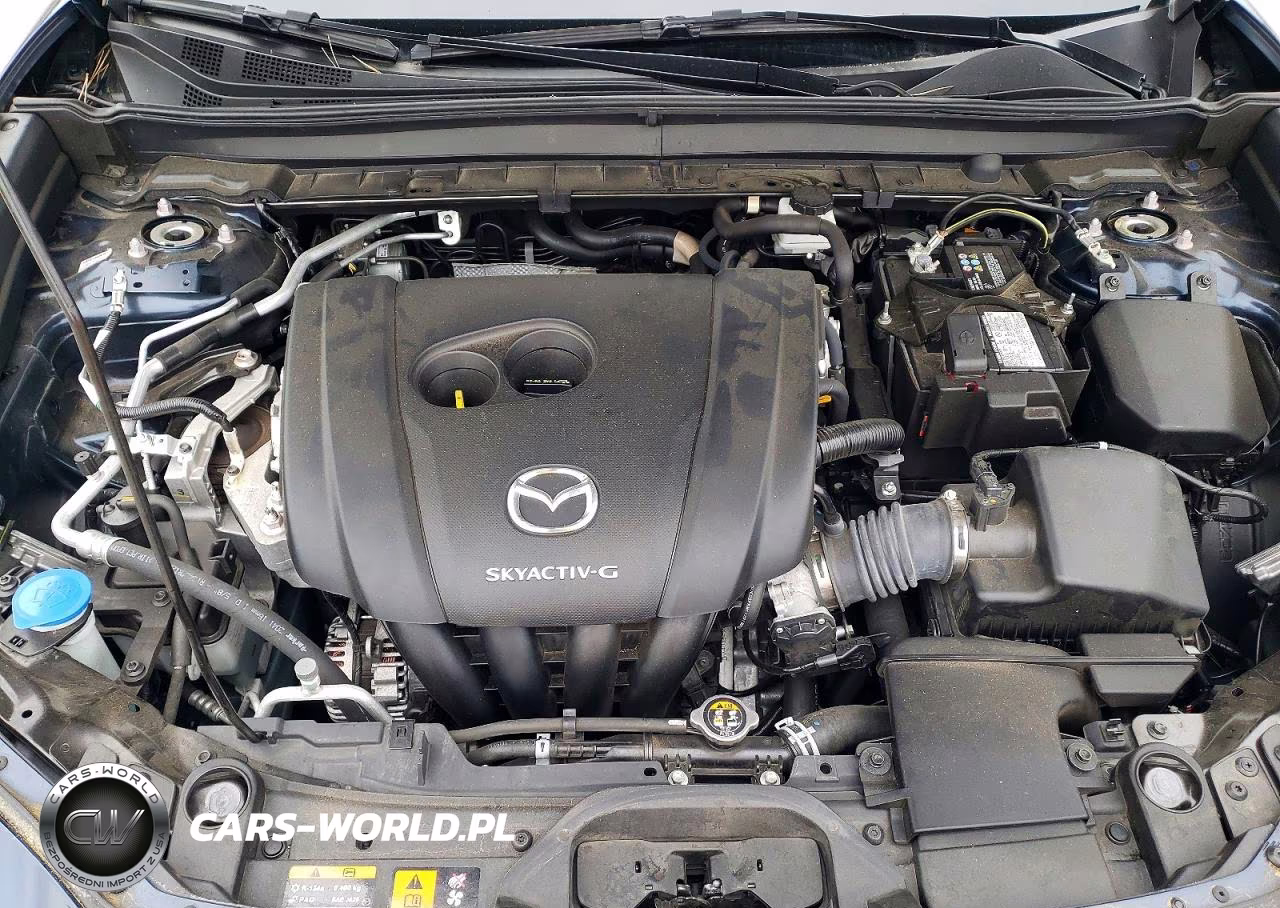 2021 Mazda Cx-30 Premium VIN:3MVDMBDL6MM315781 - 11
