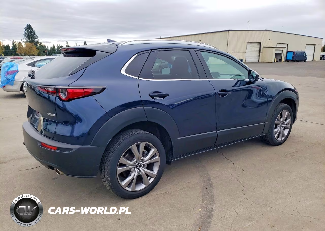 2021 Mazda Cx-30 Premium VIN:3MVDMBDL6MM315781 - 3