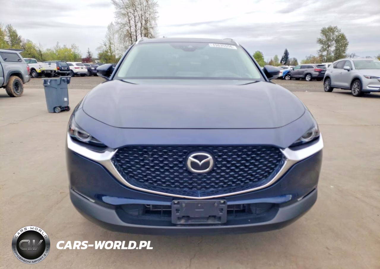 2021 Mazda Cx-30 Premium VIN:3MVDMBDL6MM315781 - 5