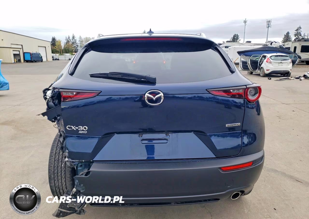 2021 Mazda Cx-30 Premium VIN:3MVDMBDL6MM315781 - 6