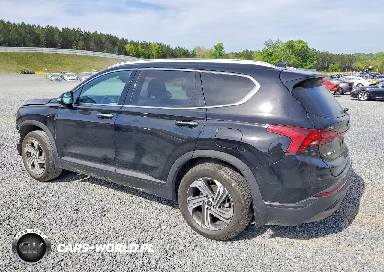 2023 Hyundai Santa Fe Sel VIN:5NMS24AJ0PH504155 - 2