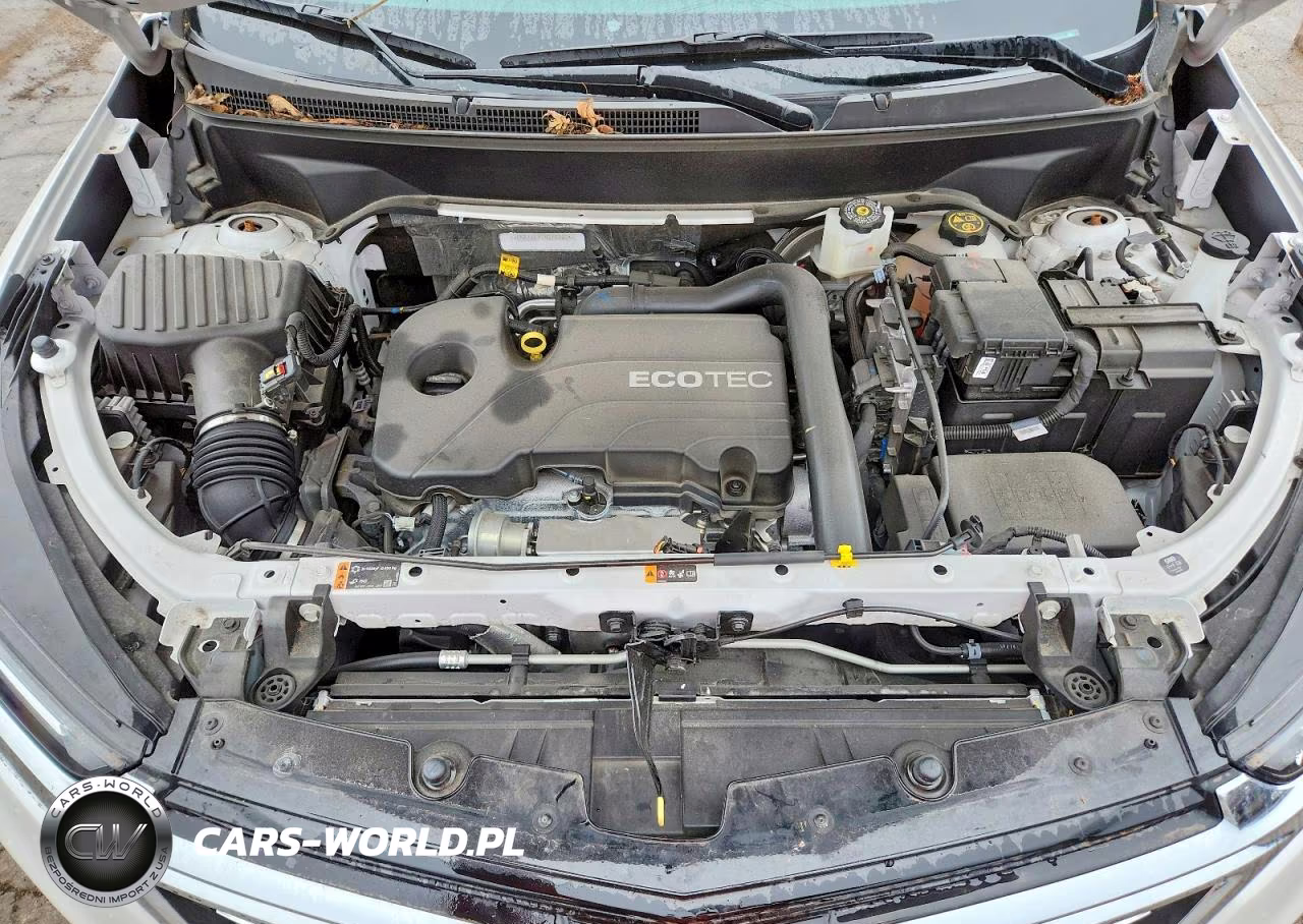2022 Chevrolet Equinox Premier VIN:3GNAXXEV2NS188024 - 12