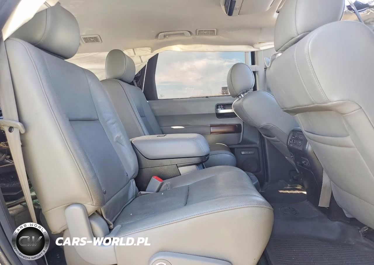 2016 Toyota Sequoia Platinum VIN:5TDDW5G1XGS144383 - 10