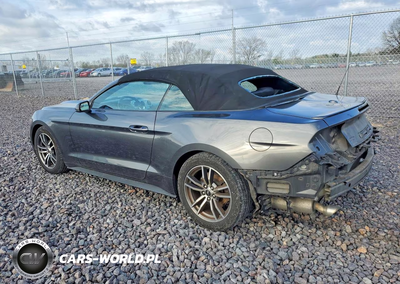 2017 Ford Mustang VIN:1FATP8UH7H5204256 - 2