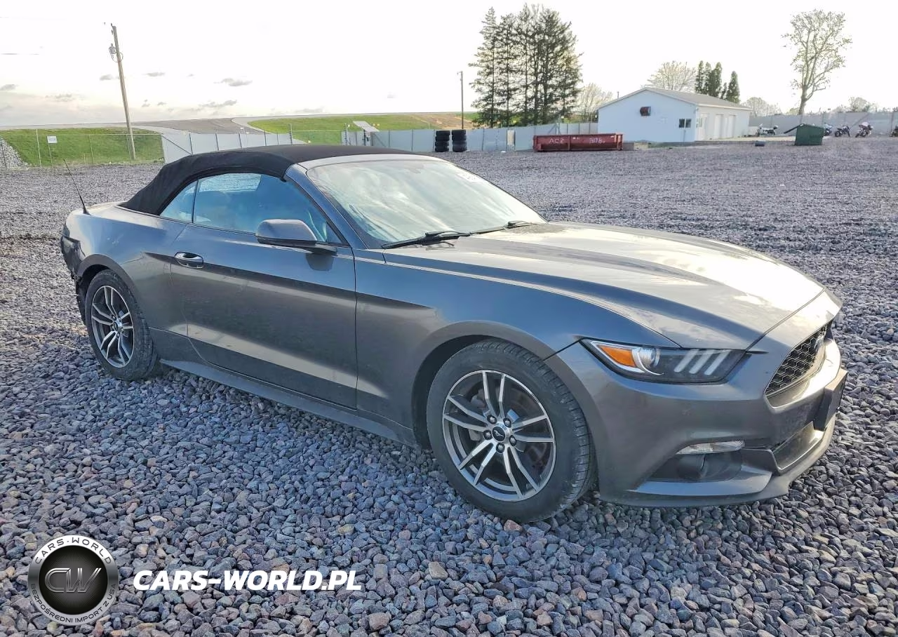 2017 Ford Mustang VIN:1FATP8UH7H5204256 - 4