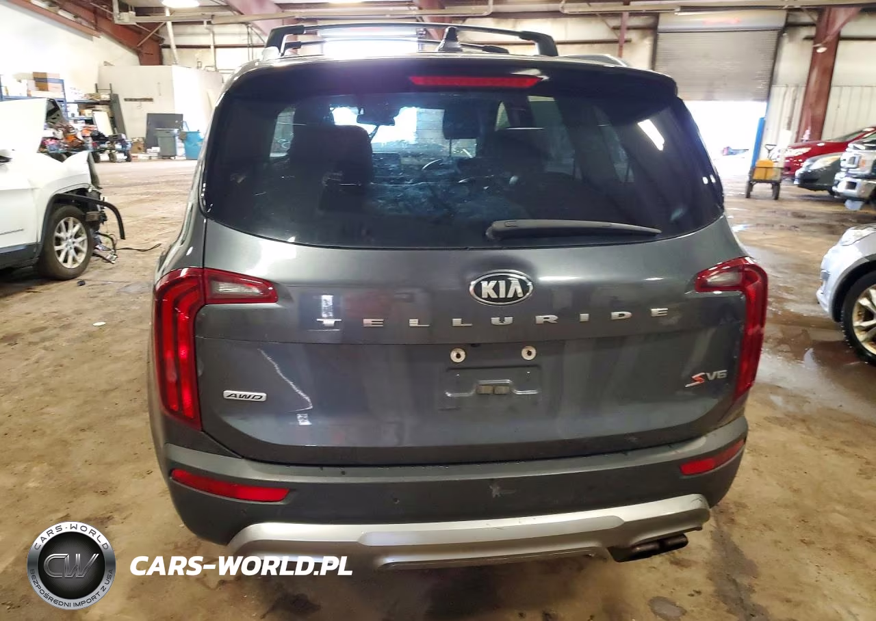 2020 Kia Telluride S VIN:5XYP6DHC3LG089726 - 6