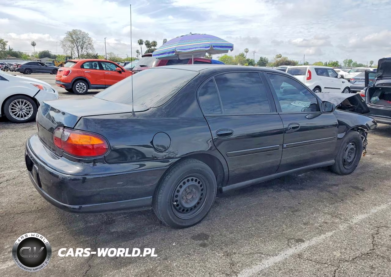 2002 Chev Malibu VIN:1G1ND52J72M544531 - 3