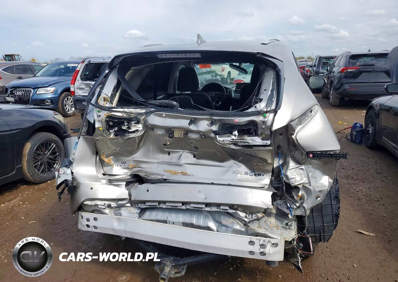 2017 Lexus Nx 300H VIN:JTJBJRBZXH2063416 - 6