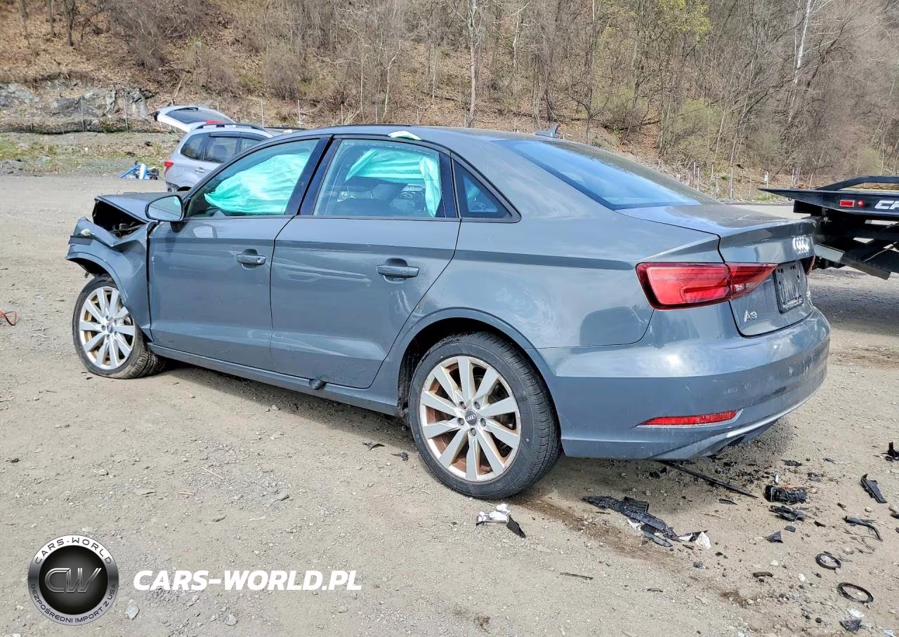 2017 Audi A3 Premium VIN:WAUB8GFF0H1059736 - 2