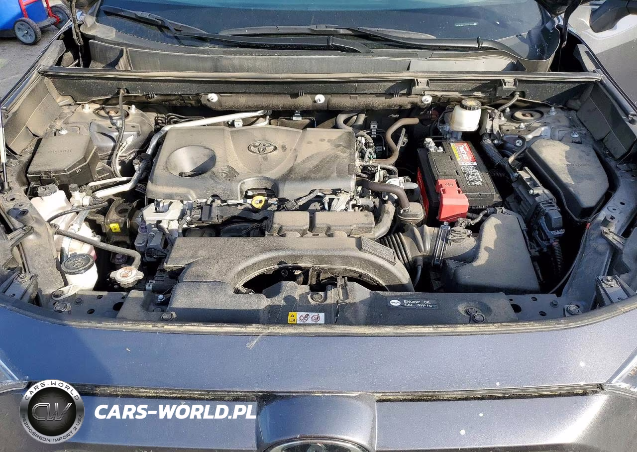 2019 Toyota Rav4 Xle VIN:2T3P1RFV9KW070341 - 12
