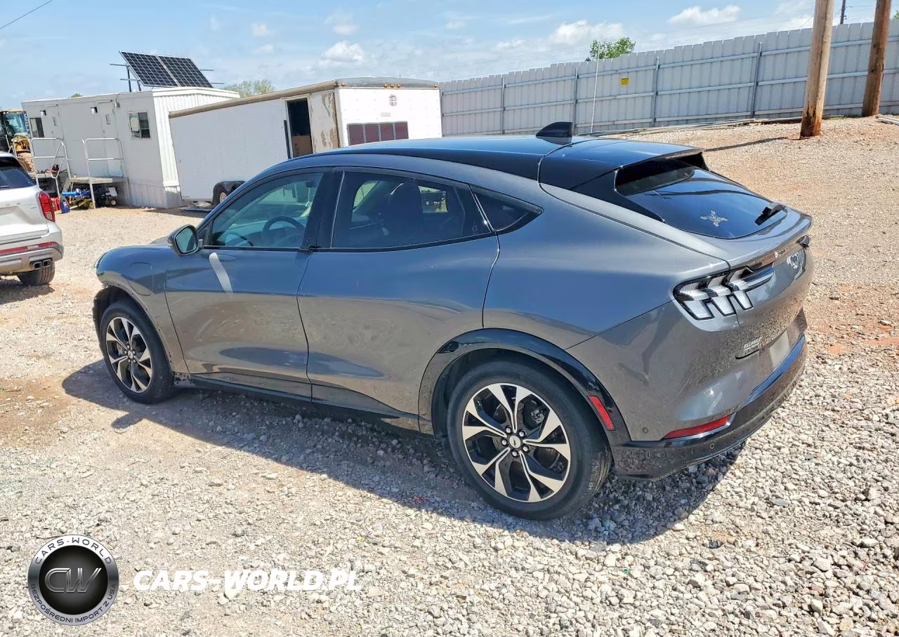 2021 Ford Mustang Mach-E Premium VIN:3FMTK3SU8MMA10489 - 2