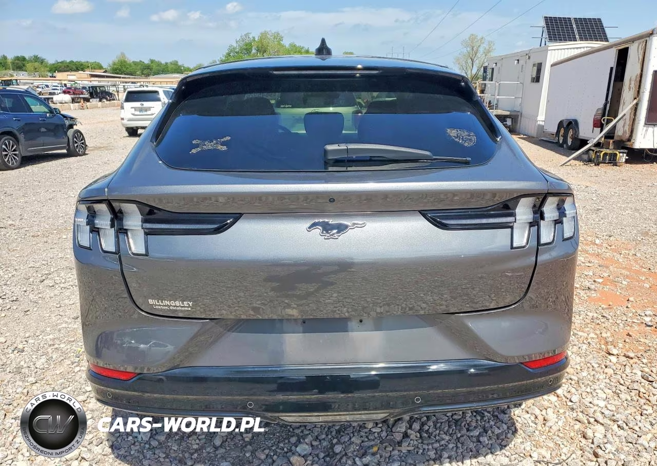 2021 Ford Mustang Mach-E Premium VIN:3FMTK3SU8MMA10489 - 6