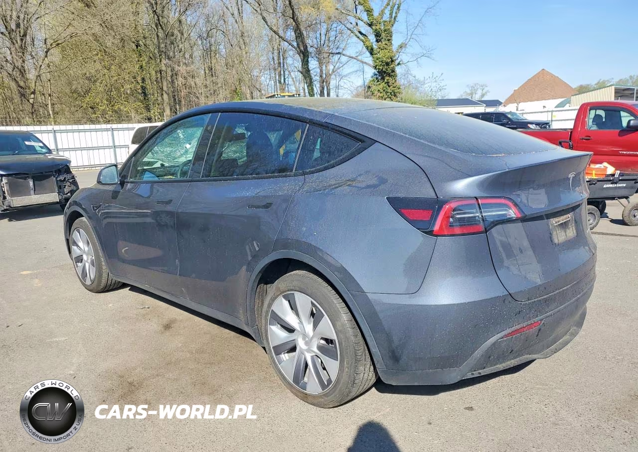 2023 Tesla Model Y VIN:7SAYGDEE3PA036061 - 2