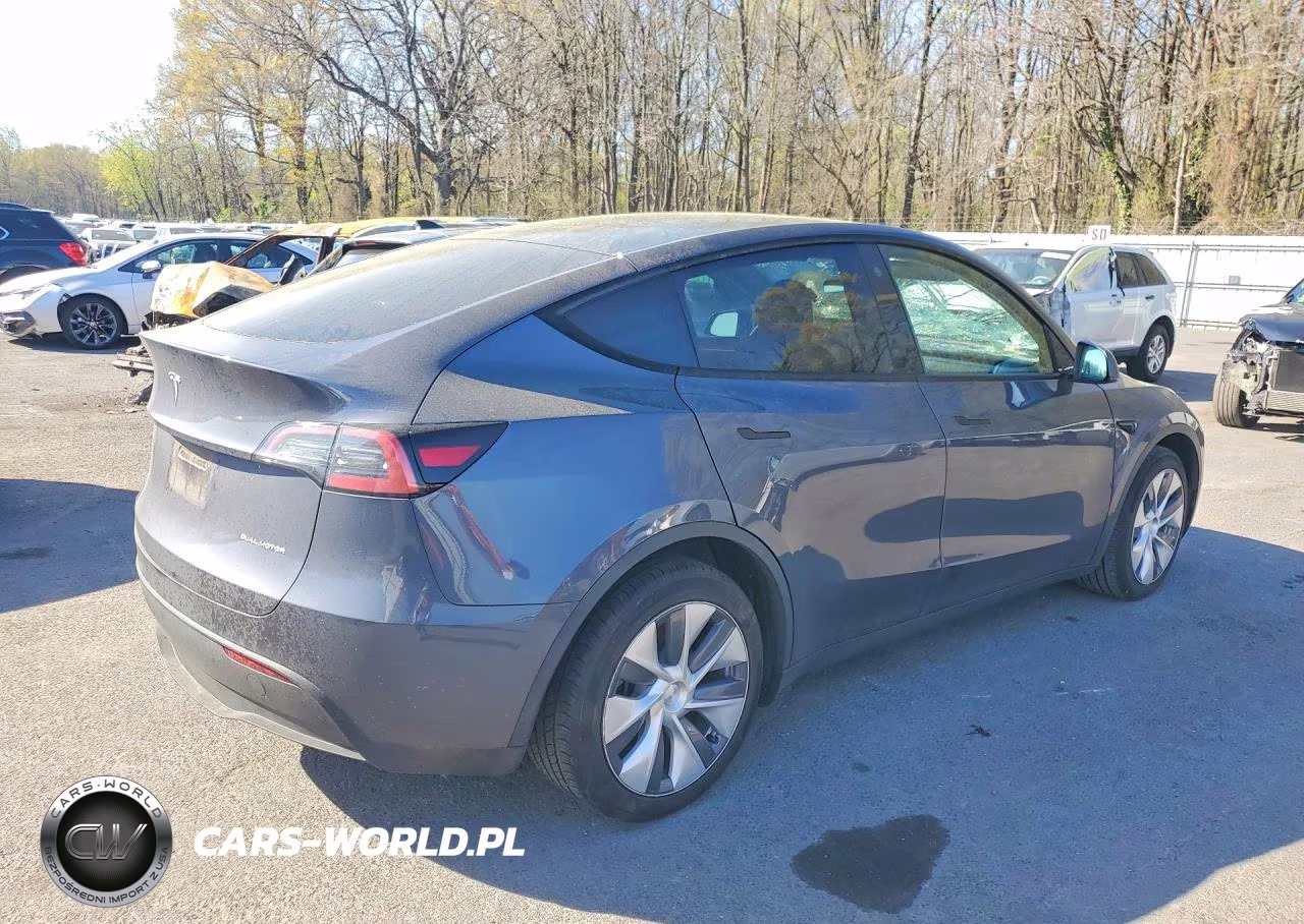 2023 Tesla Model Y VIN:7SAYGDEE3PA036061 - 3