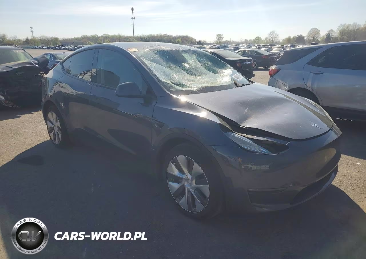 2023 Tesla Model Y VIN:7SAYGDEE3PA036061 - 4