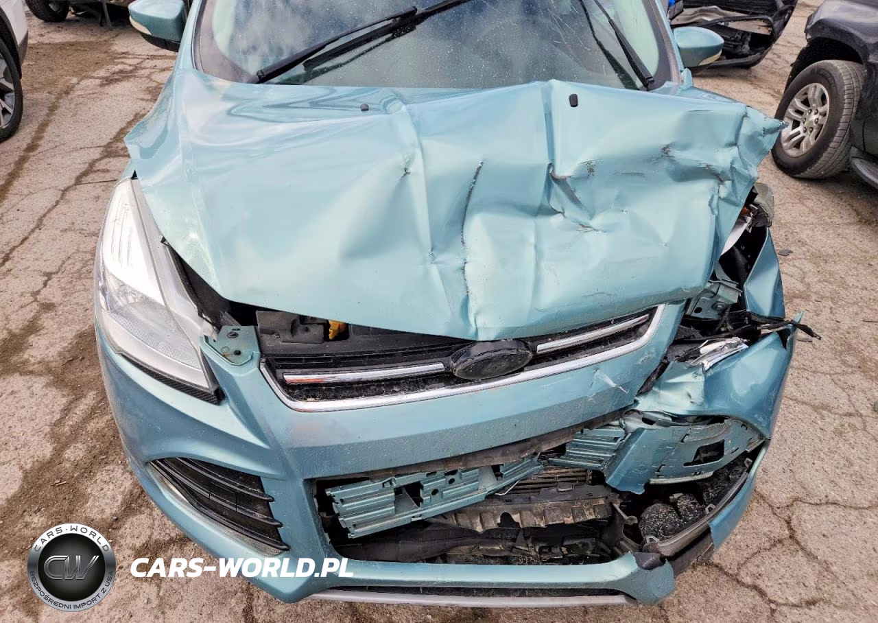 2013 Ford Escape Sel VIN:1FMCU0H97DUC72012 - 11