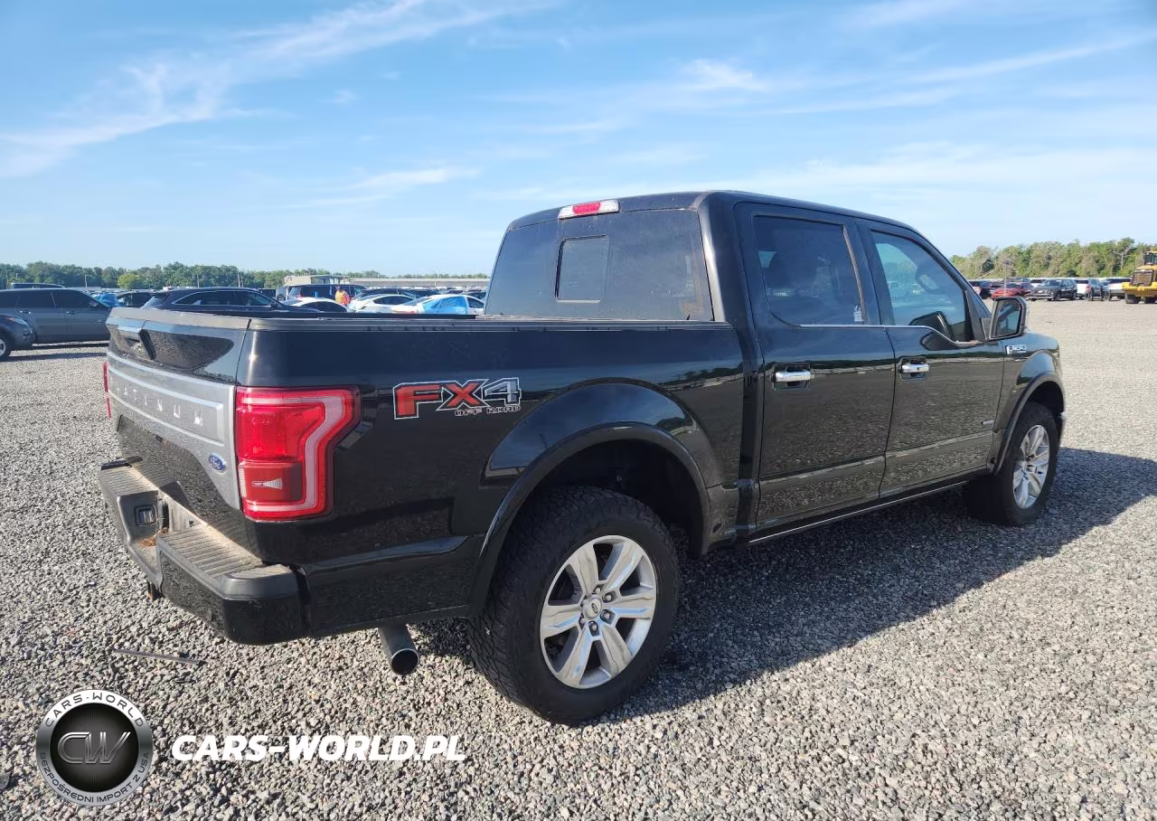 2017 Ford F150 Supercrew VIN:1FTEW1EG2HFC20541 - 3