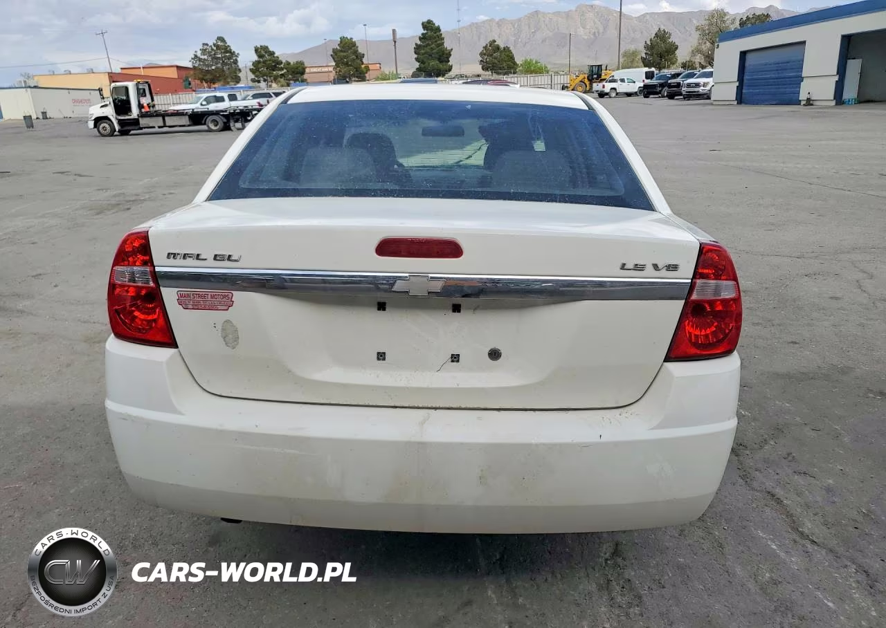 2004 Chevrolet Malibu Ls VIN:1G1ZT52834F118456 - 6