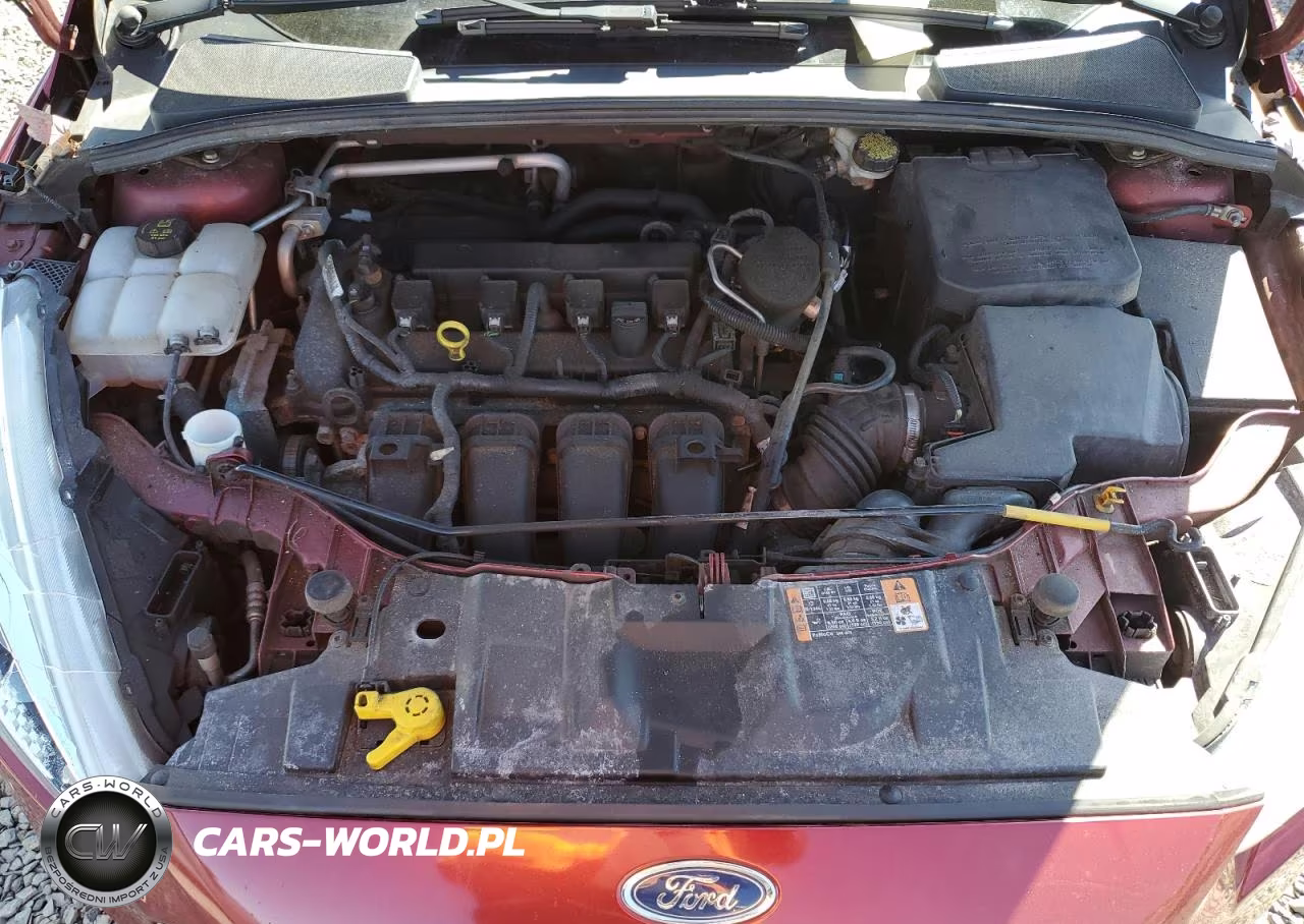 2015 Ford Focus Se VIN:1FADP3F28FL364980 - 11