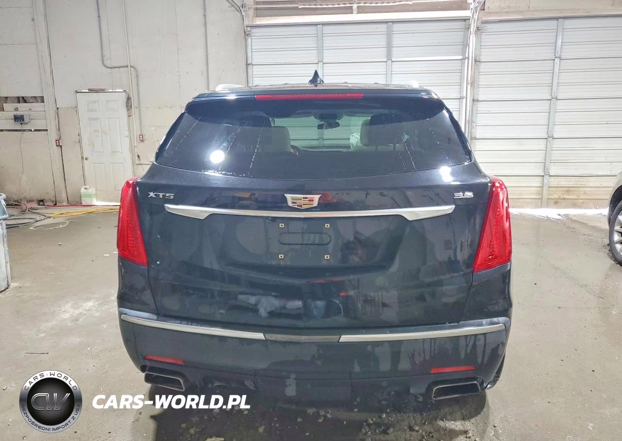 2019 Cadillac Xt5 Luxury VIN:1GYKNCRS2KZ101338 - 6
