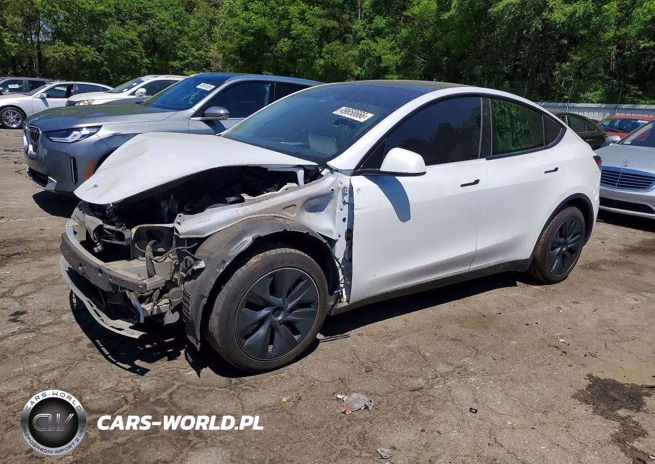 2024 Tesla Model Y